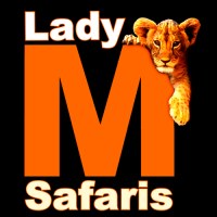 lady m safaris