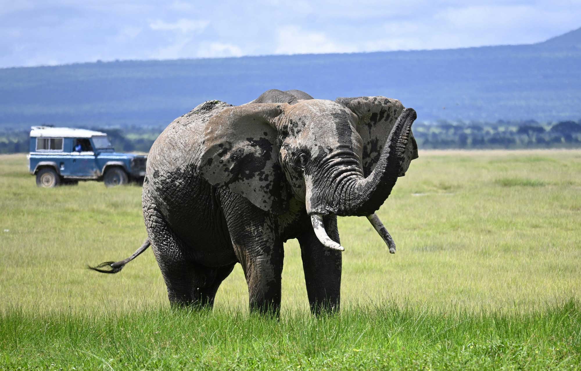 Safari Reiseveranstalter Kenia