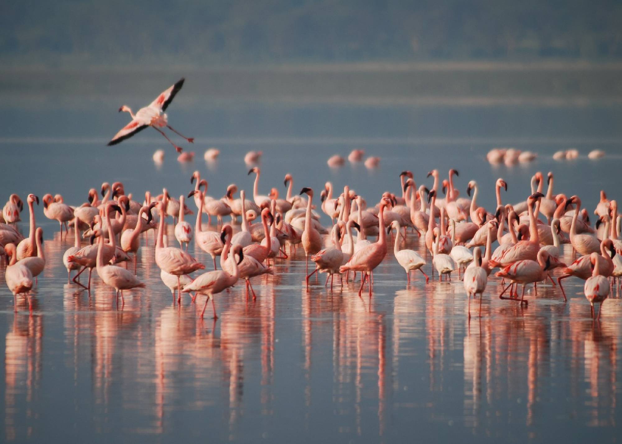 Rift Valley Explorer Tour - Nakuru