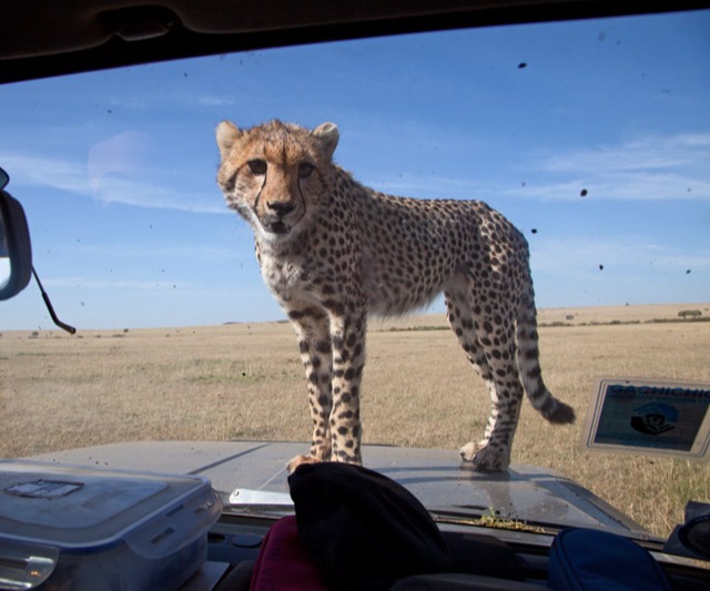Rift Valley Explorer Tour - Masai Mara