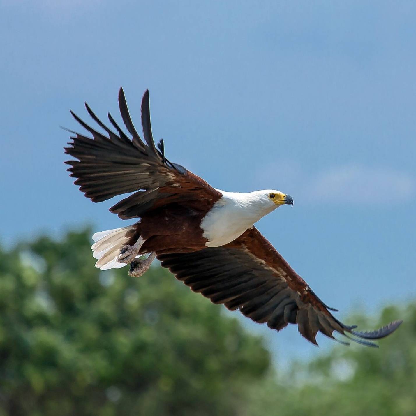 Rift Valley Explorer Tour - Naivasha