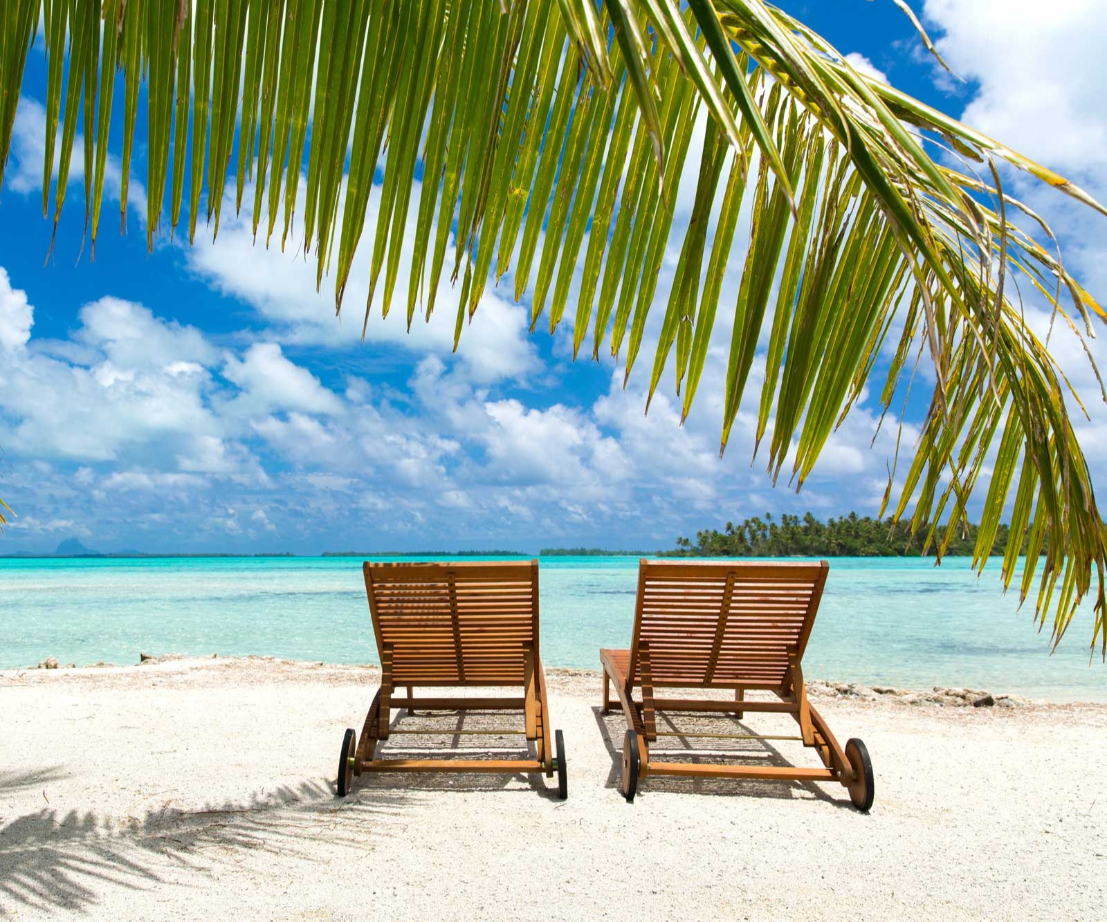  Road Safari und Beach Resort - Diani Beach