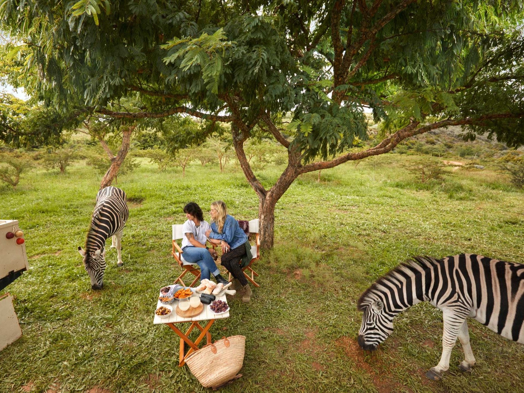 Safariveranstalter in Diani für Luxus-Safaris