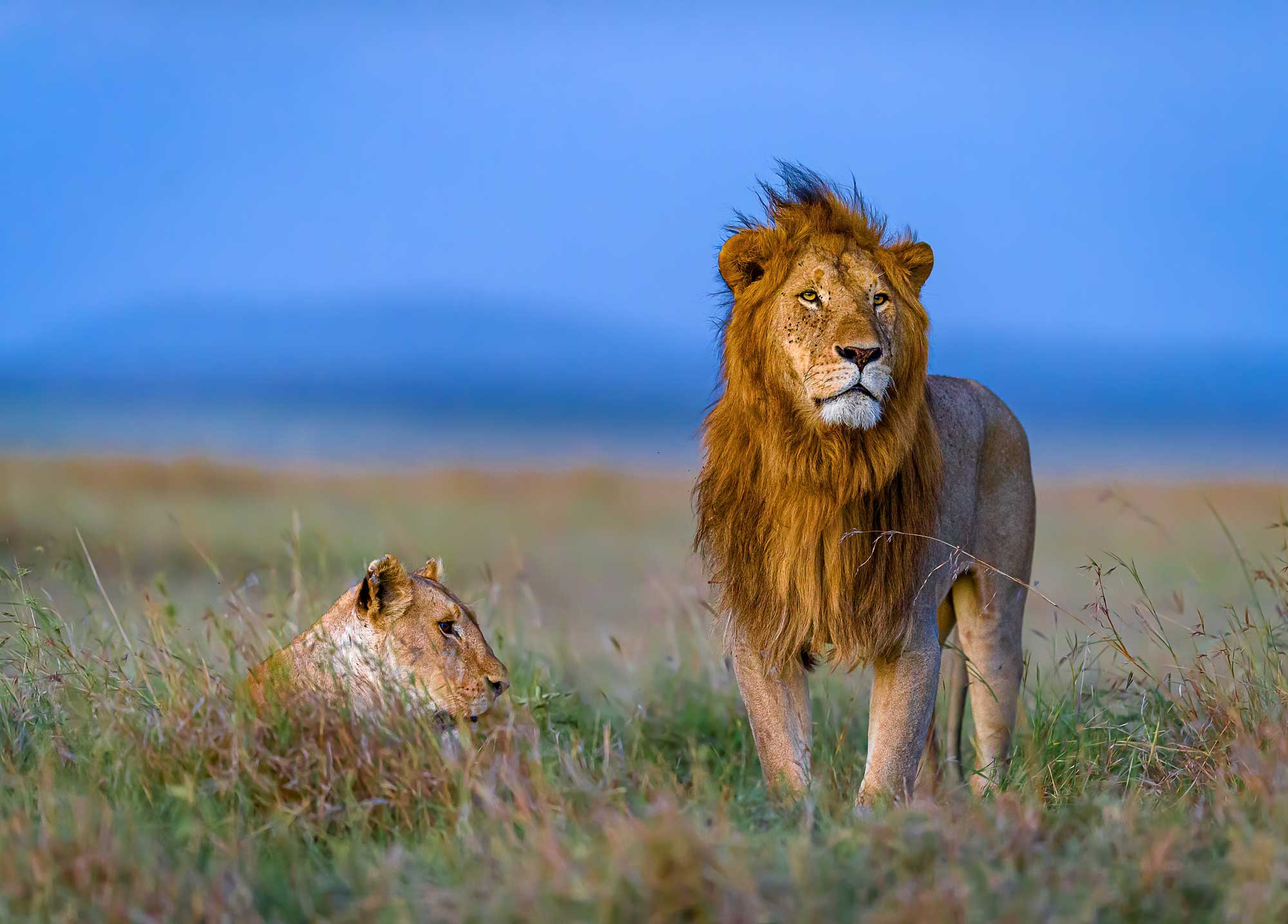 Rift Valley Explorer Tour - Masai Mara