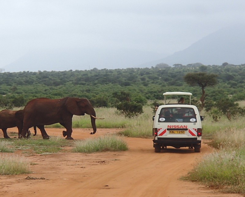Rundreisen mit dem Minibus durch Kenia