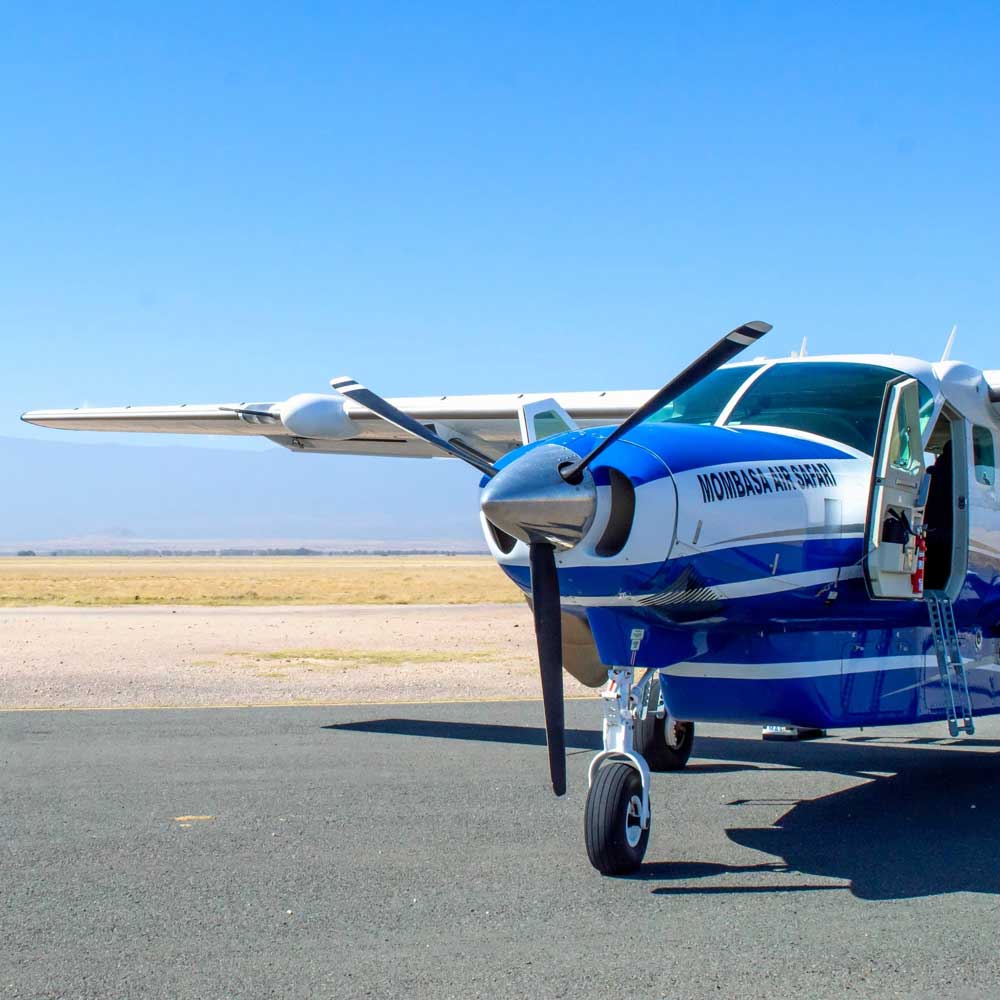 Flugsafaris anbieter