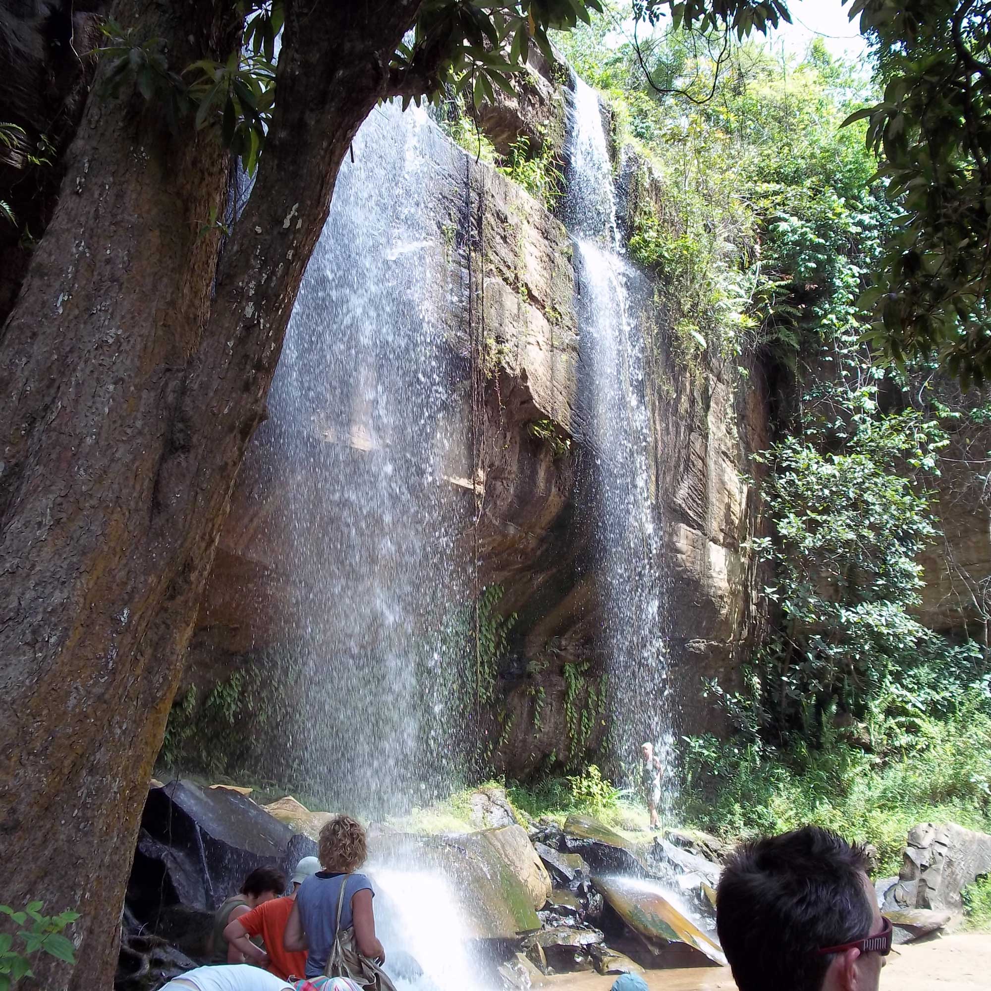 Tagestouren, Safari nach Shimba Hills