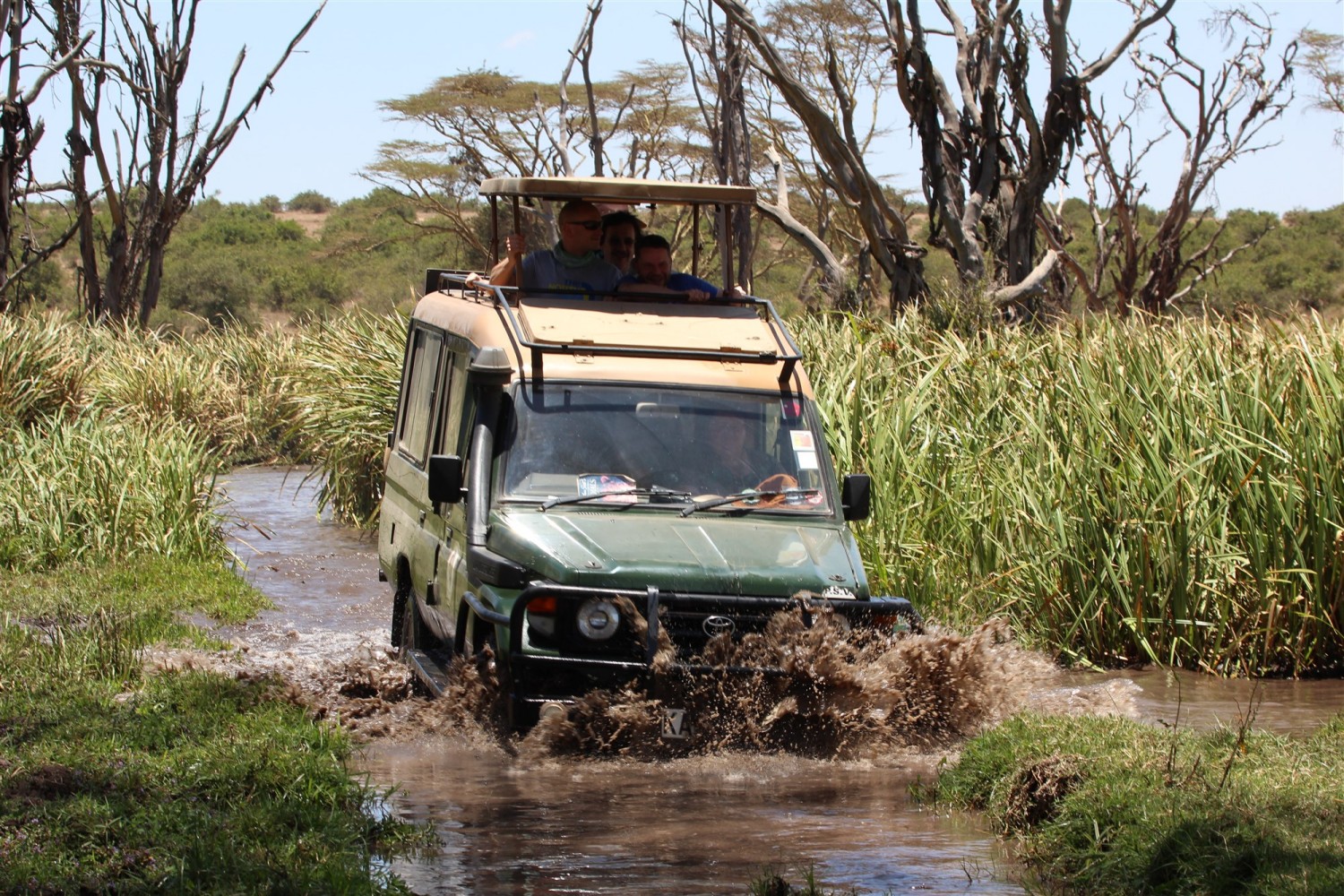 Rift Valley Explorer Tour Aberdares